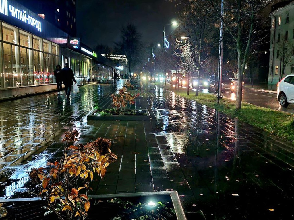 Будет ли зима в Подмосковье? Рекордное тепло задержится в регионе