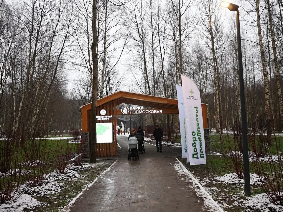 Новая часть лесопарка открыта для прогулок: как туда попасть из города