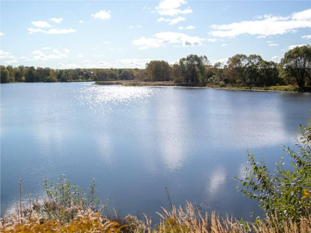 Коломна голосует за чистоту: какой пруд станет жемчужиной округа в 2026 году?