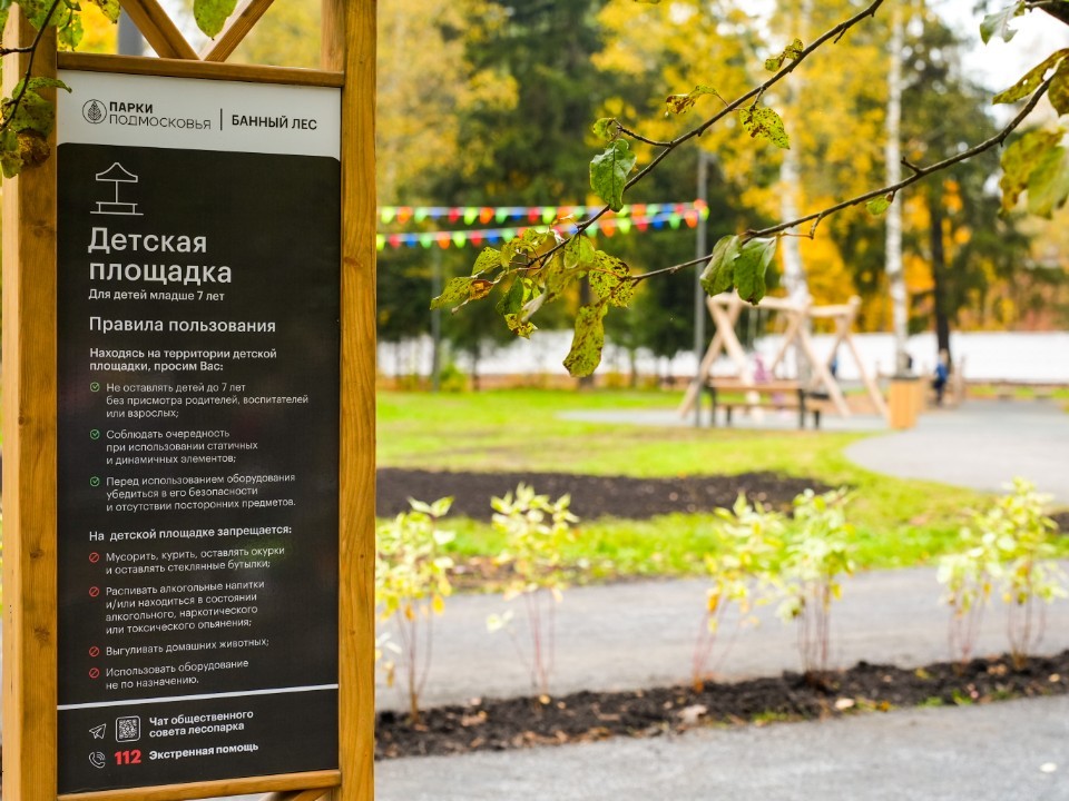 Неизвестные вынесли главные «генераторы кислорода» в парке «Банный лес»