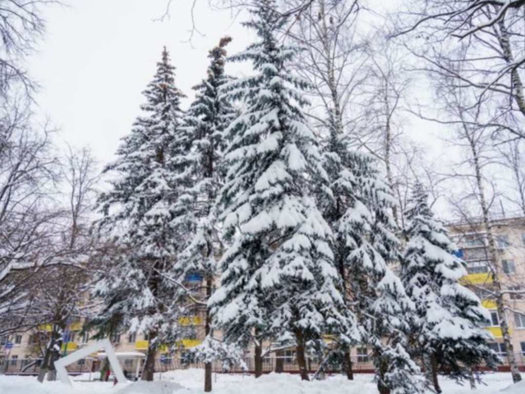 Снежные сугробы и морозы до -10? Синоптик назвал точную дату прихода настоящей зимы в Подмосковье!