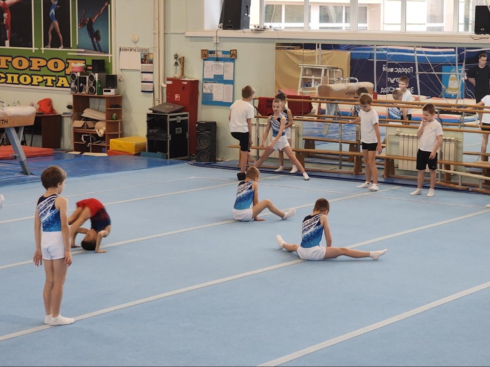 Команда юных гимнастов Звенигорода стала чемпионами Подмосковья