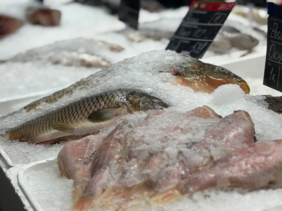 Где купить свежую кефаль: партию с Азовского моря завезли в столичный регион