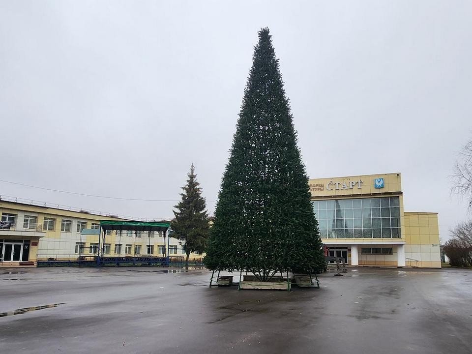 В Луховицах установили главную новогоднюю елку
