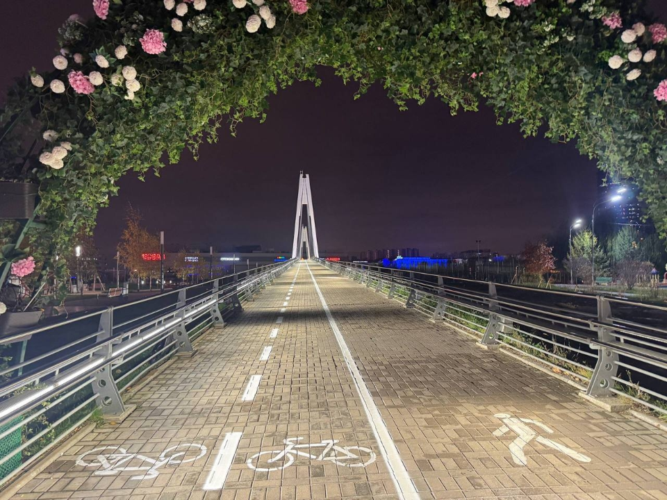 Жители могут решить судьбу разметки моста в Павшинской пойме