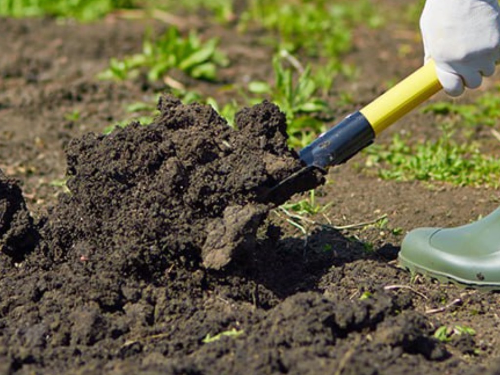 Вносим удобрения осенью по этой схеме — и почва весной будет плодородной