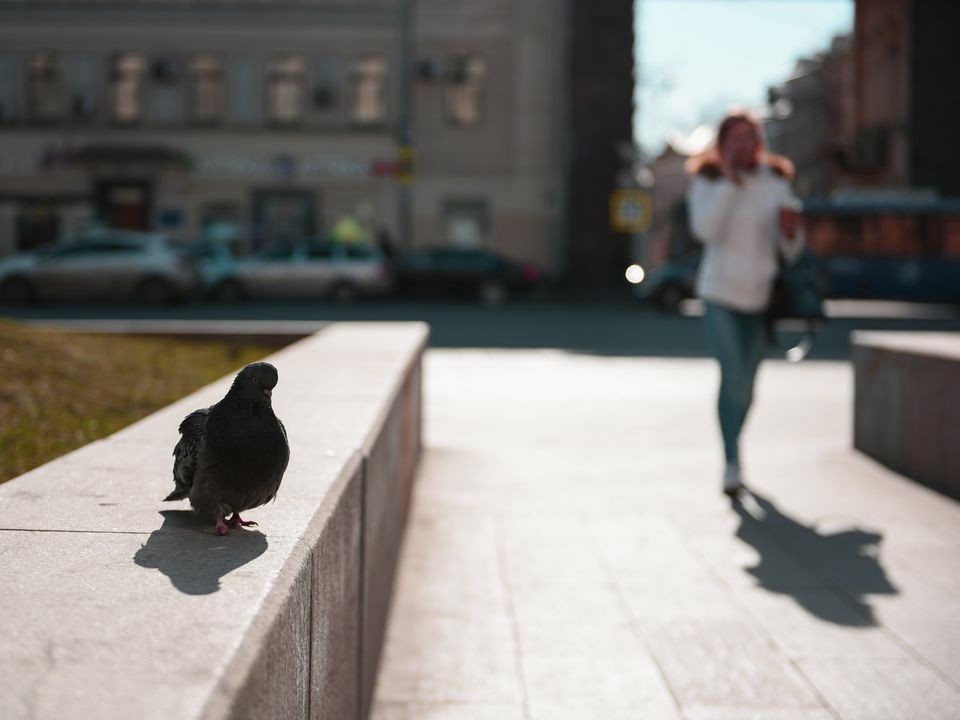 Обычная прогулка по набережной обернулась тюрьмой для двоих: что случилось