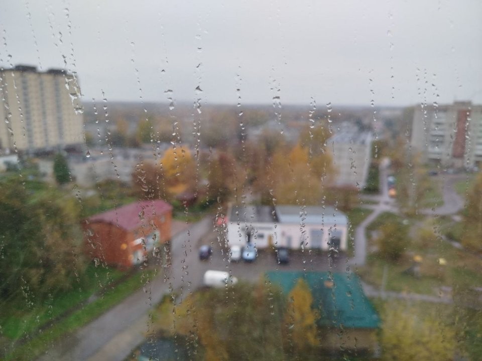 Зальет ли Подмосковье дождем в День народного единства: синоптики дали ответ