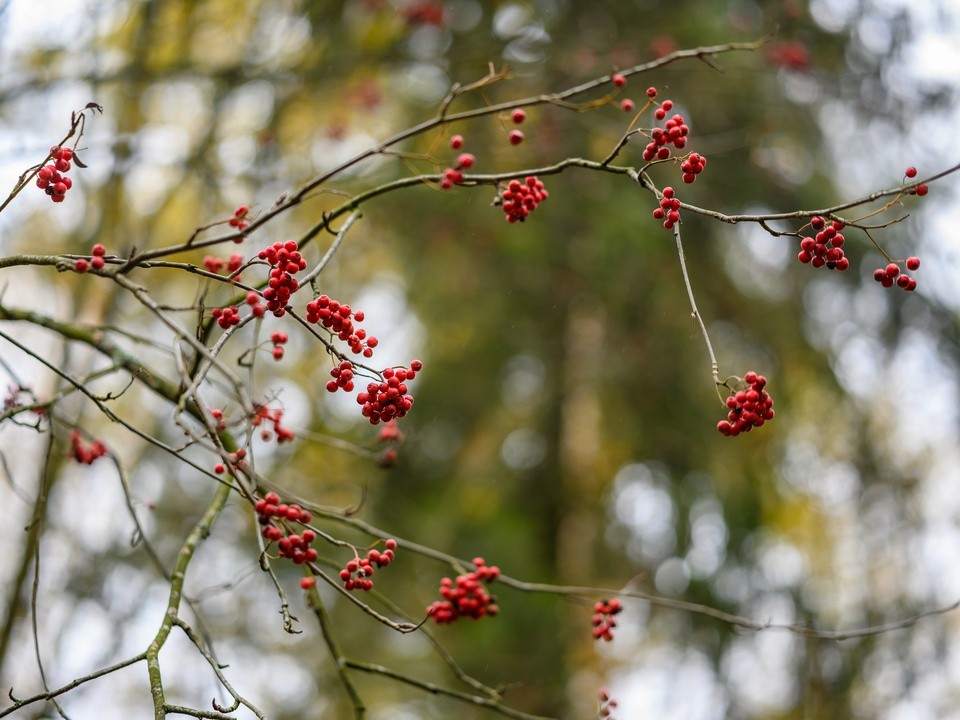 Для сельских специалистов готовят единую федеральную программу поддержки