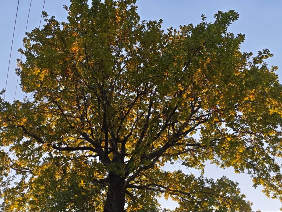 Погодный феномен: температурный рекорд побит в столичном регионе