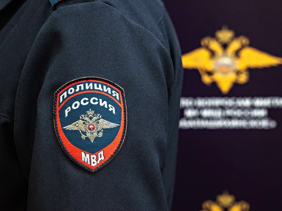 От дактилоскопии до кинологии: один день из жизни Подмосковной полиции