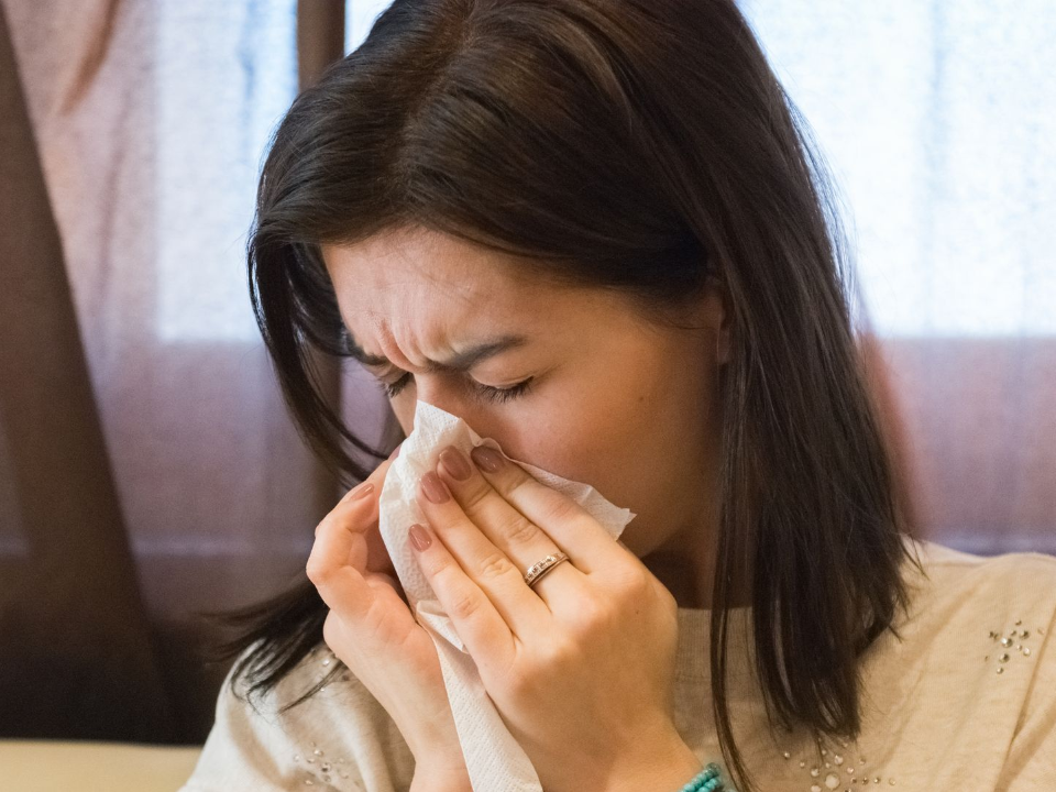 Аллергия не отпускает: врачи Красногорской больницы предупреждают о поздней осенней опасности
