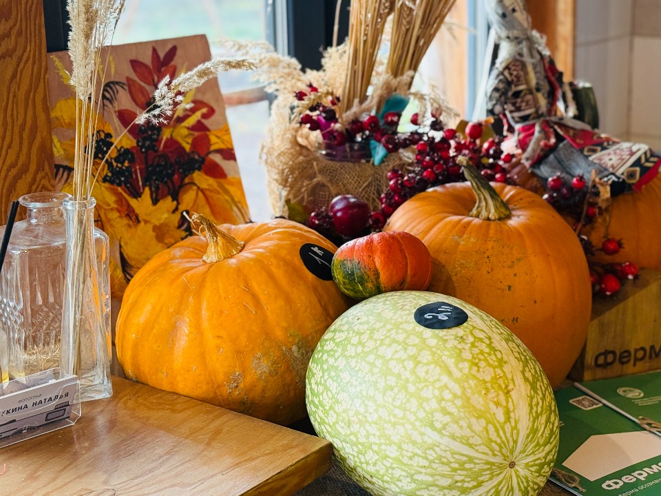 Чаепитие и сладкая вата: в Жуковском парке 9 ноября состоится «Тыква-Фест»