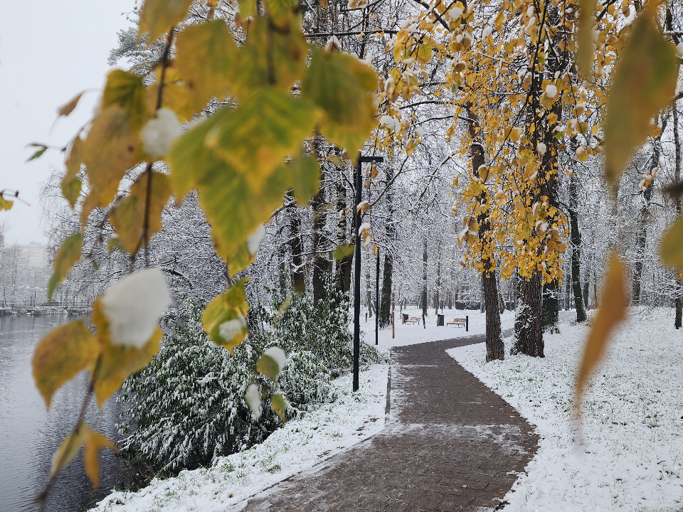 МЧС предупреждает: на Можайск обрушится опасная погода 15 и 16 ноября