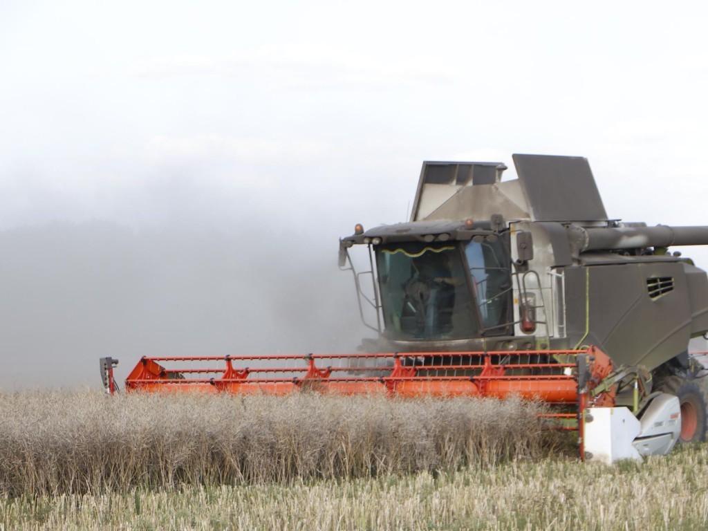 День работников сельского хозяйства торжественно отметят в Зарайске