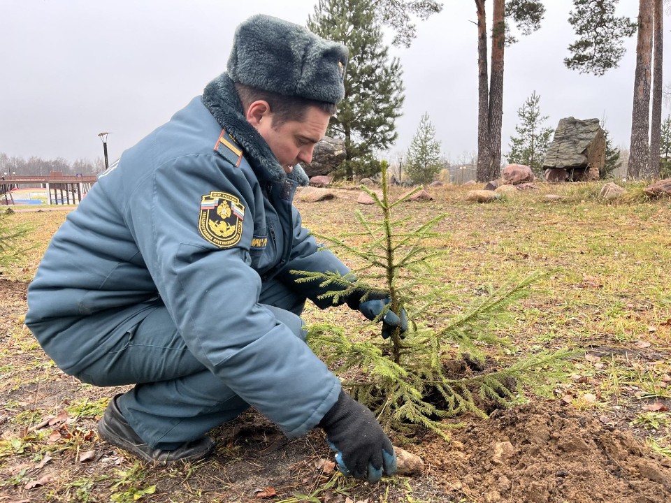 Сотрудники МЧС высадили 20 елок в Рошале во время акции «35 добрых дел»