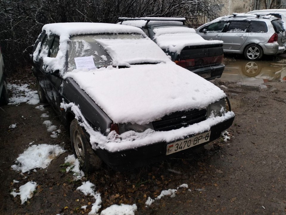 Красные, зеленые и синие «подснежники» нашли на улицах Пушкинского округа