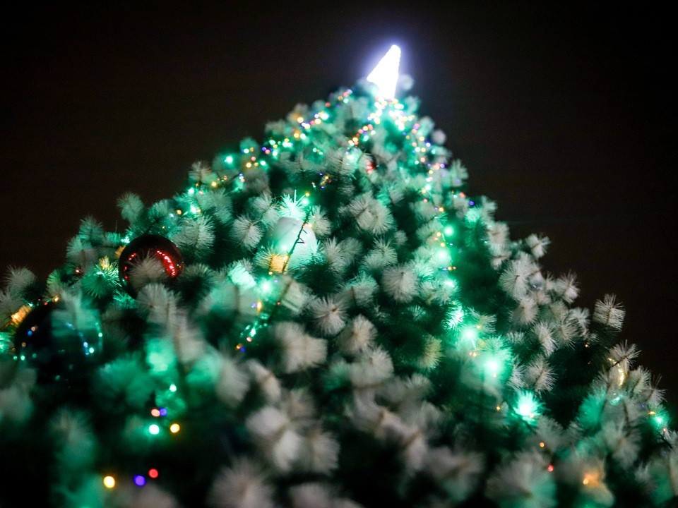 Самую «необычную» новогоднюю елку среди «раскопок» заметили на станции «Кашира»