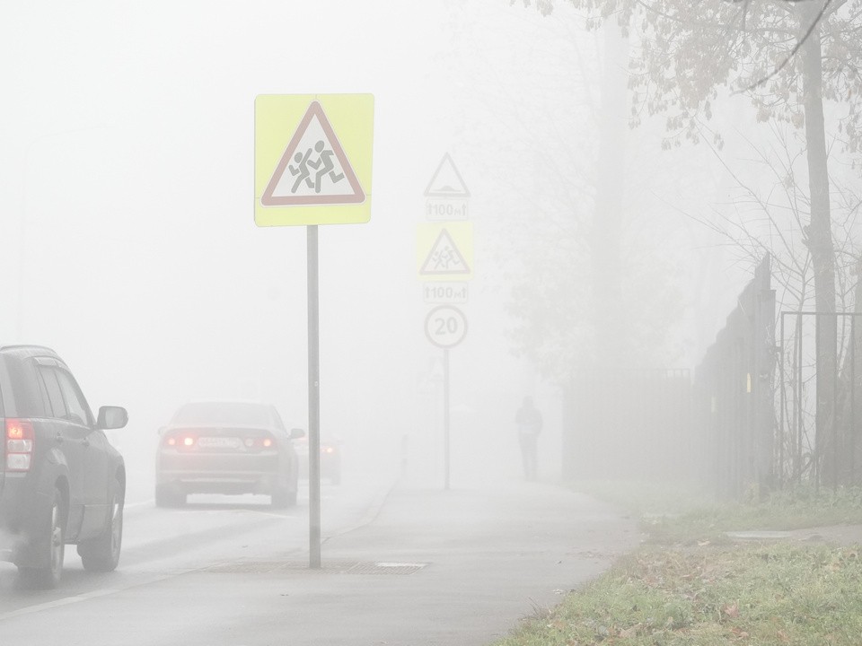 Мгла наступает: жителей Подмосковья предупредили о сильном тумане
