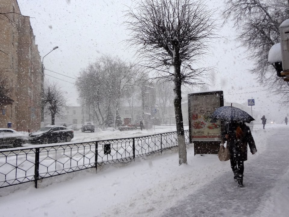 Зима отменяется? Как долго продержится выпавший в Подмосковье снег