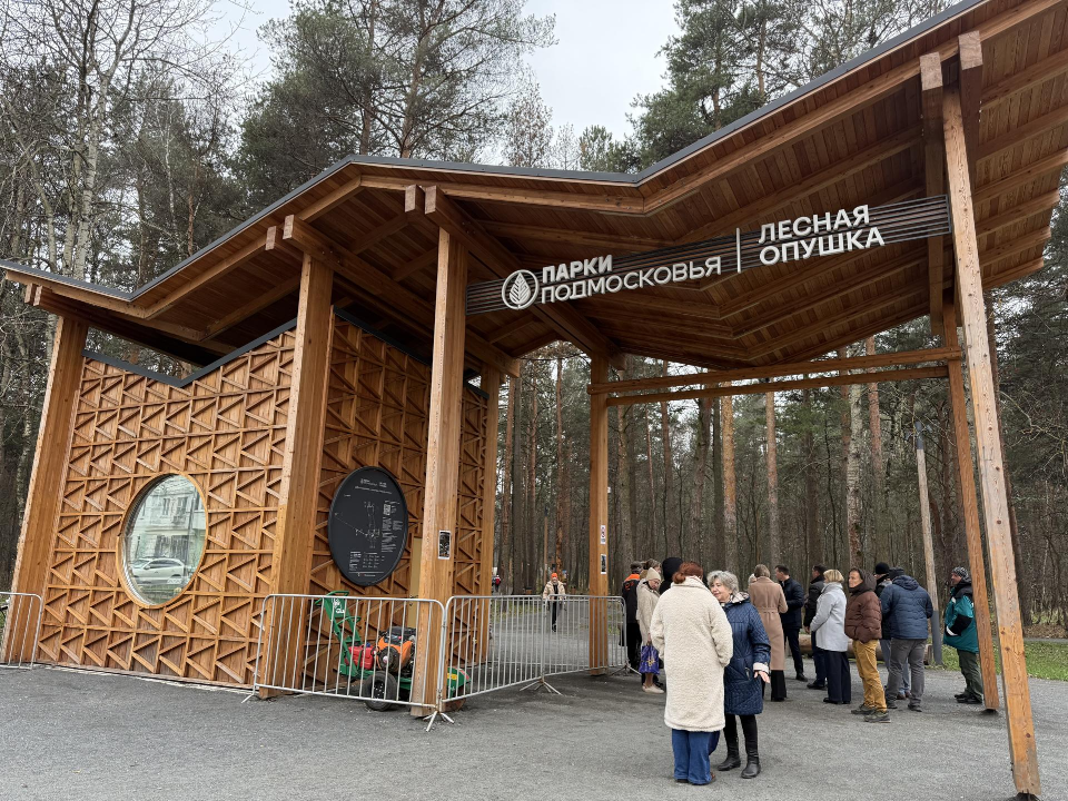 В парке «Лесная опушка» станет светлее: горожане обсудили с властями реконструкцию объекта