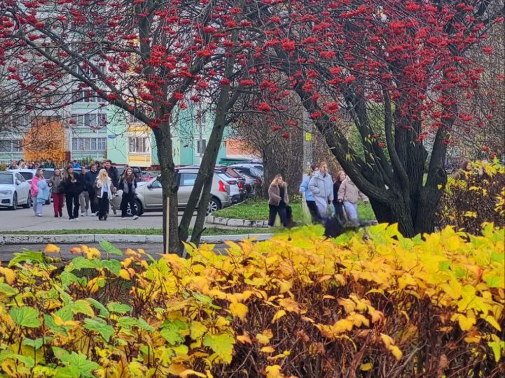 Аномальный ноябрь: Роман Вильфанд пообещал москвичам 2-4 градуса тепла выше нормы