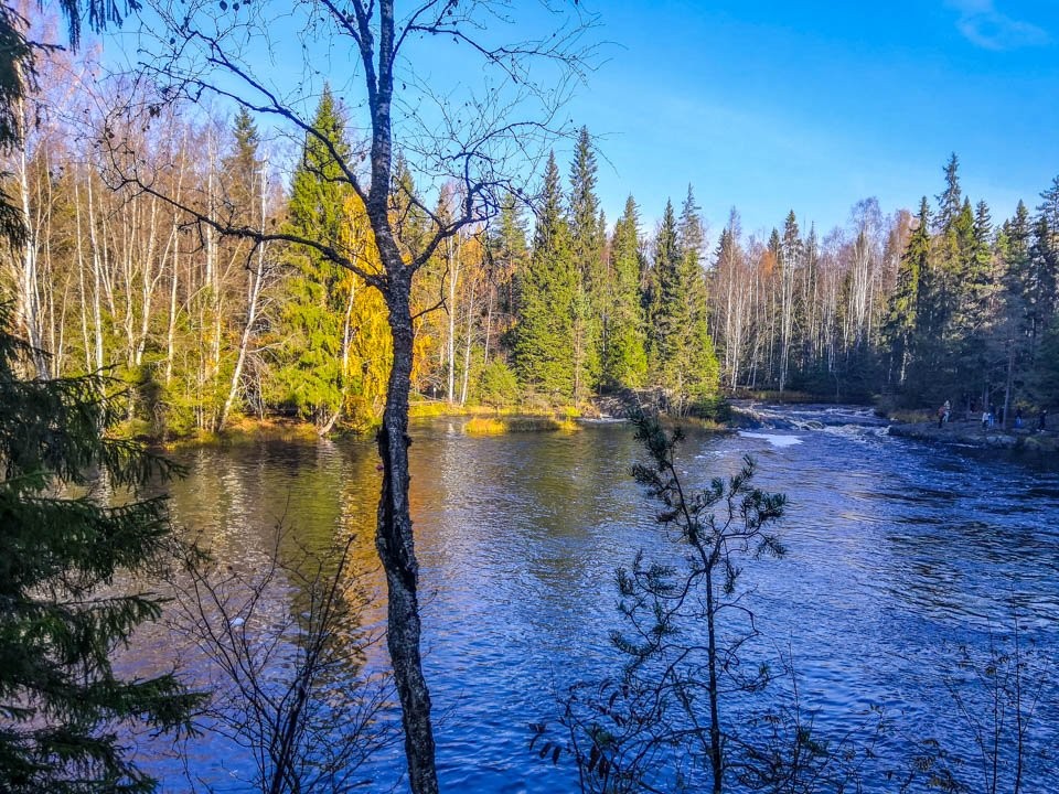 Трагедия на Москве-реке: к чему привело несоблюдение рыбаками норм безопасности