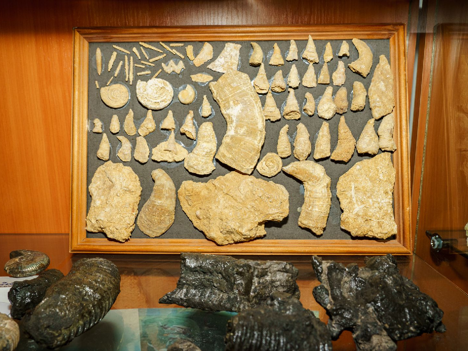 Дети из Дубны научатся читать историю Земли через камни в новом клубе геологов