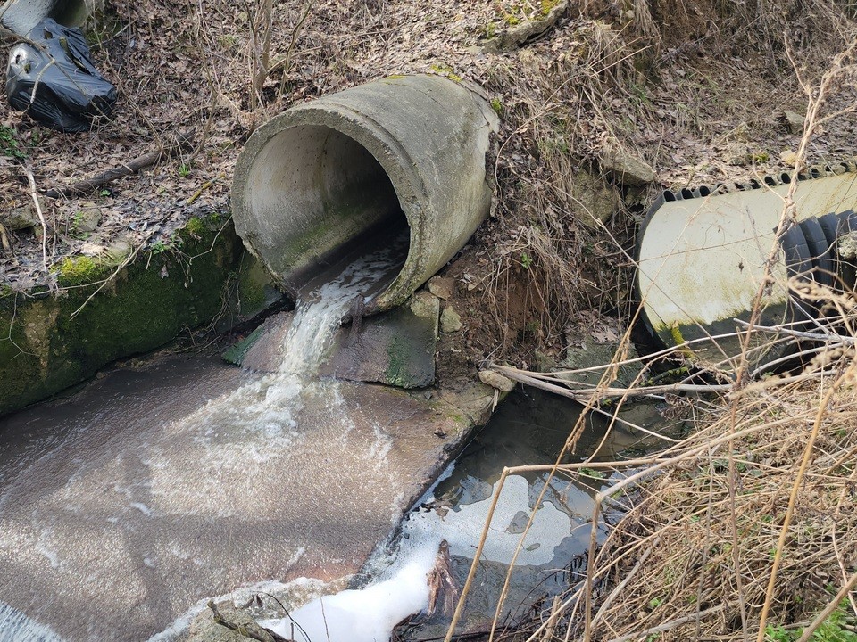 Власти и экологи обнаружили место загрязнения реки Чермянки в деревне Беляниново