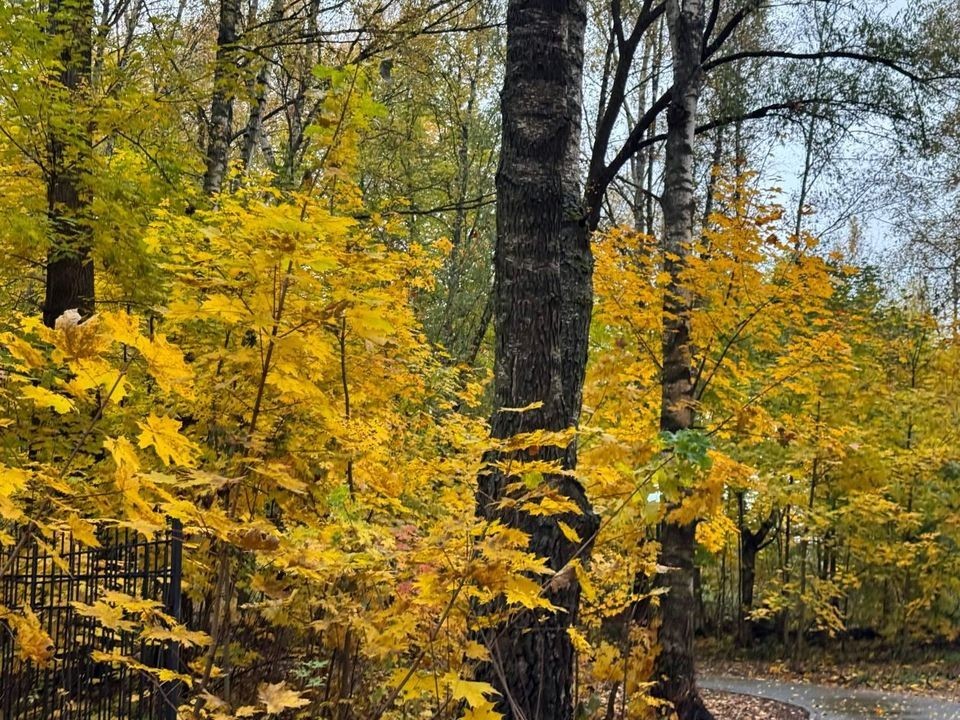 В парке Сераксеево откроют новую зону с животными