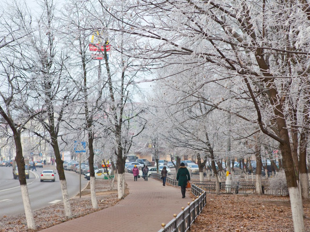 «Фобос» предупреждает: туманы и мокрый снег накроют столичный регион