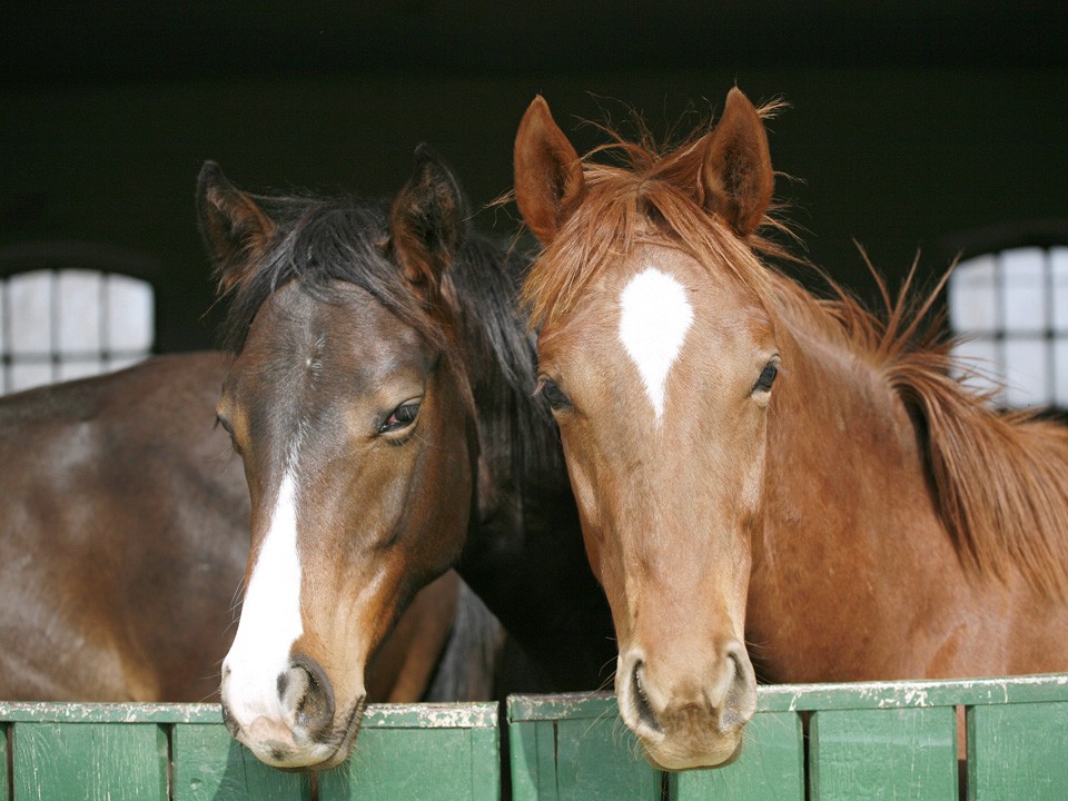 Главные события 28 ноября: праздники, кто родился и что произошло