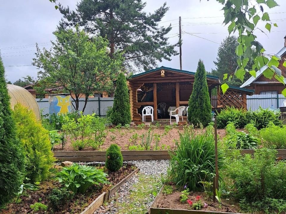 Обрезка смородины летом: зачем это делать и как не погубить куст в процессе