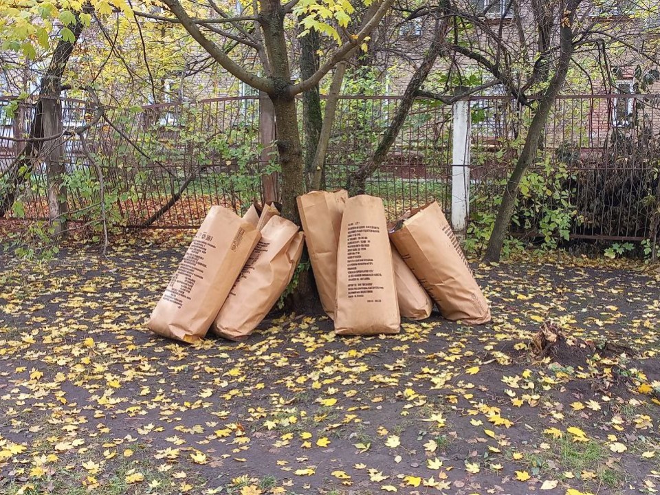 Сколько мешков опавшей листвы собрали электростальцы на осенних субботниках