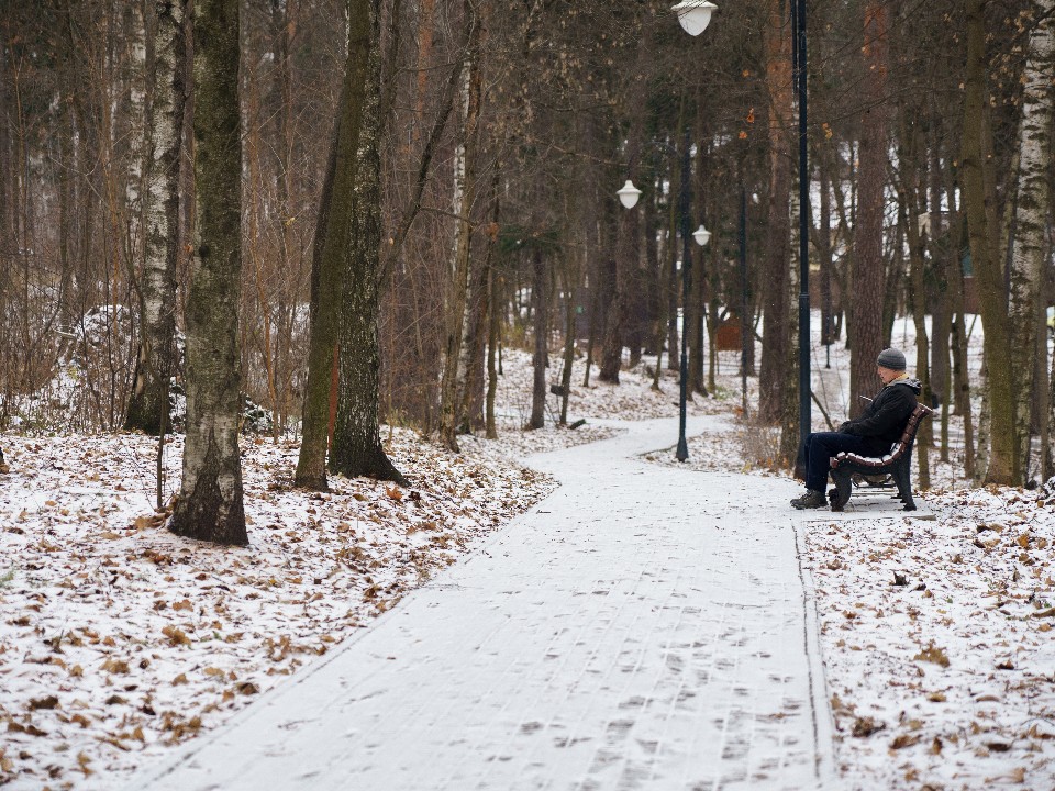 Как жители Бужарова и Лечищева могут изменить свой лесопарк