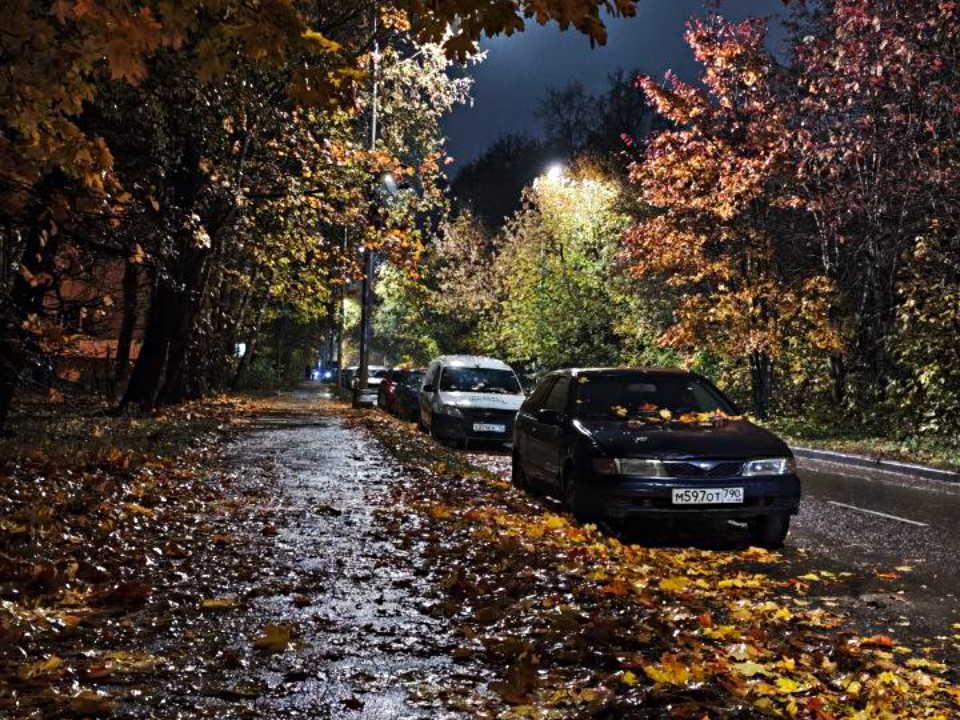 Подмосковье накроет дождь и туман: синоптики объявили «желтый» уровень опасности