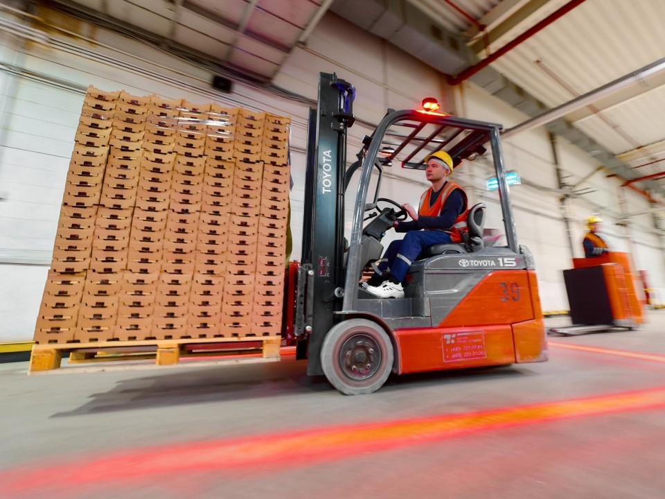 «Золотой урожай» наград: Подмосковье стало чемпионом по экспорту АПК