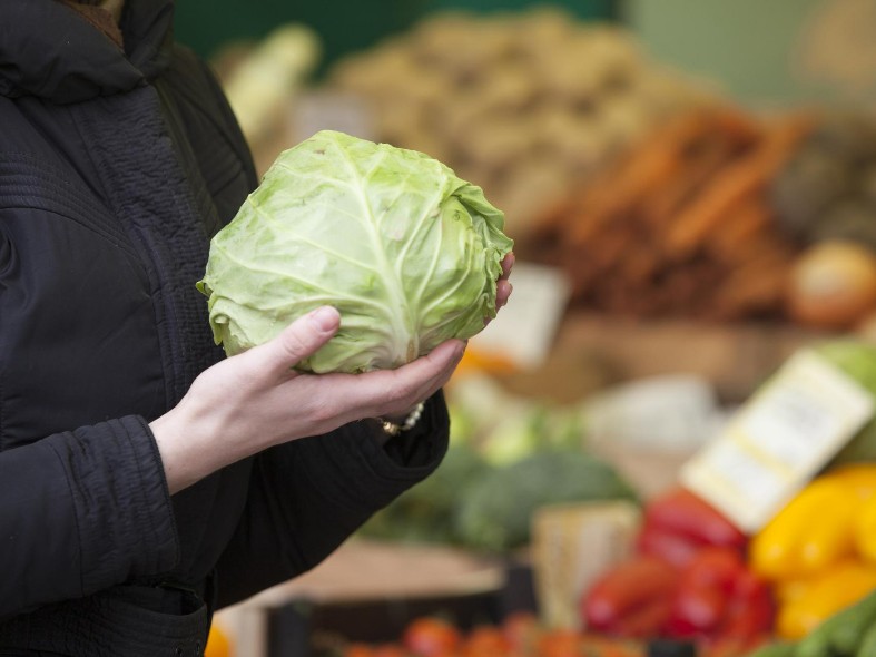 Осенний бум капусты в Подмосковье: почему вырос спрос и успеют ли жители вовремя сделать заготовки