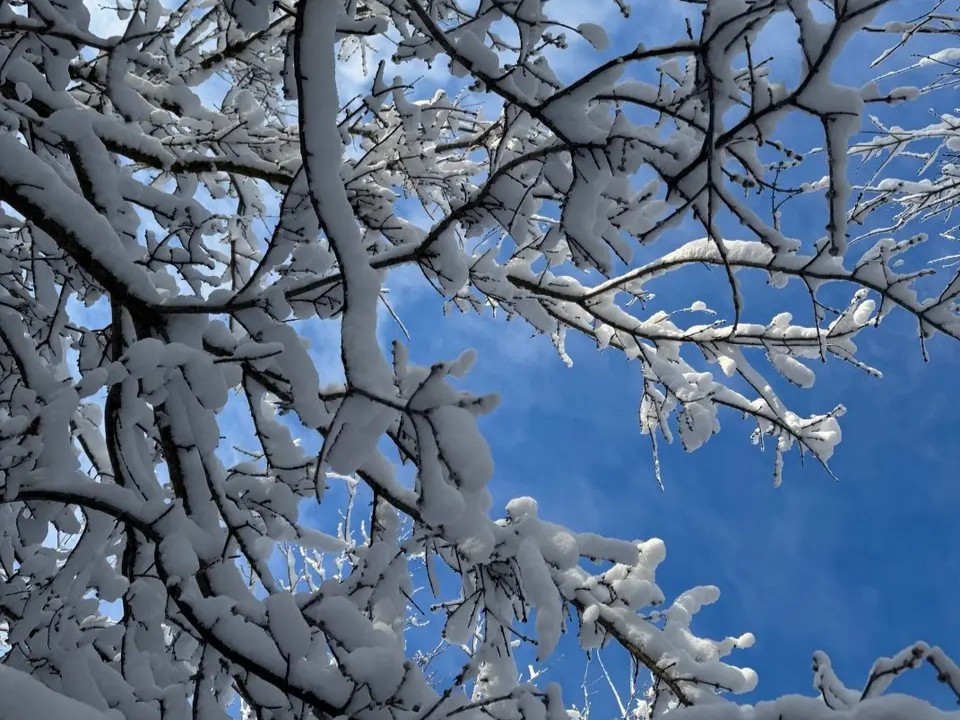 Аномальный декабрь: чем удивит первый месяц зимы