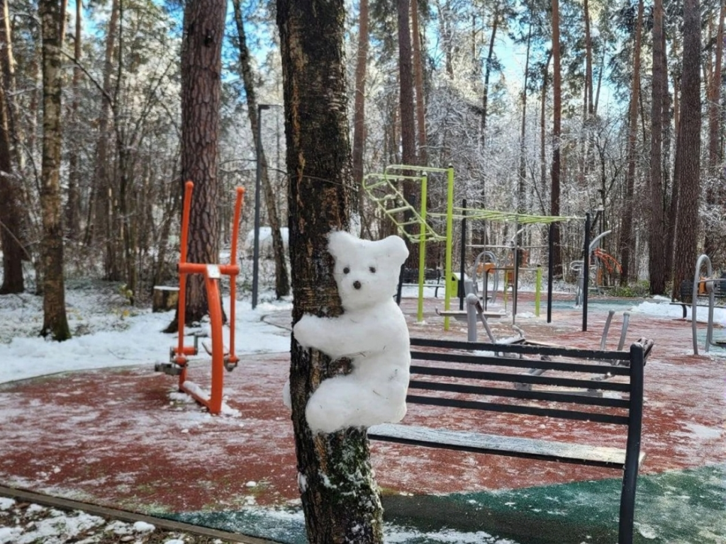 Взбирающийся на дерево «белый медведь» восхитил посетителей парка Одинцова