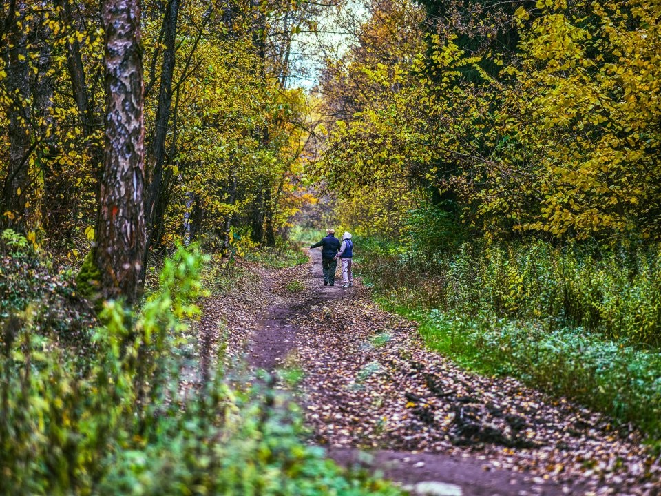 Пол ведра польских грибов: жительница Курилово удивила ноябрьским урожаем