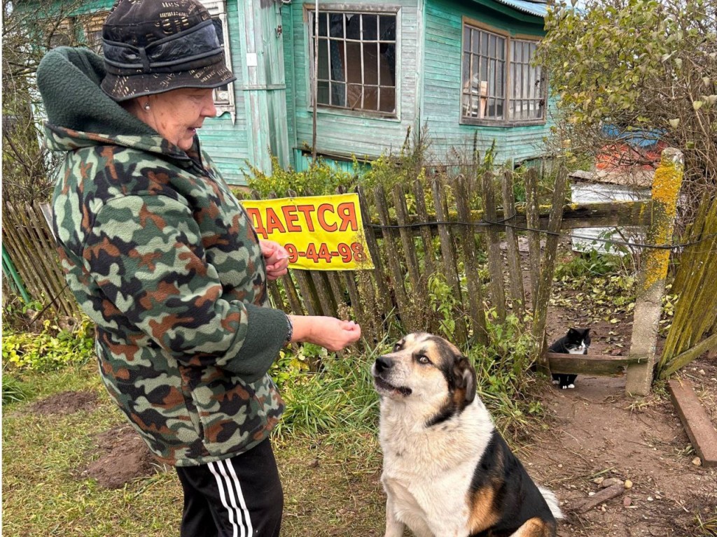 Добрейший пес погибшего на СВО хозяина нуждается в доме и заботе