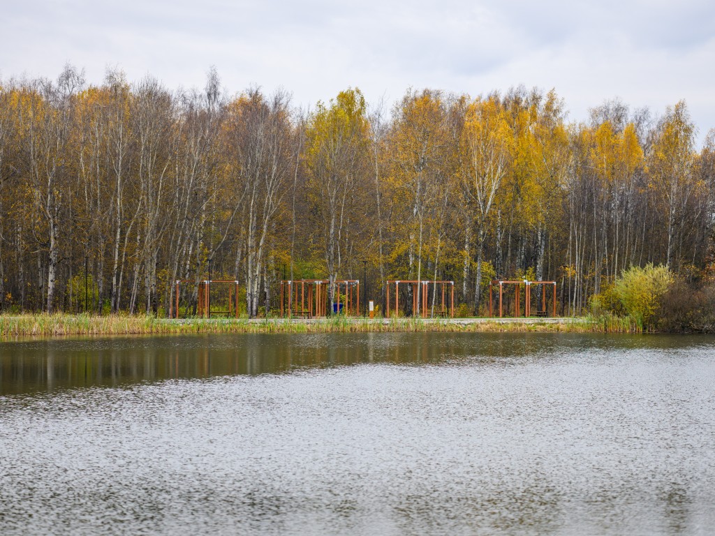 «Его обожала детвора»: в Воскресенске живодеры утопили дворнягу с камнем на шее