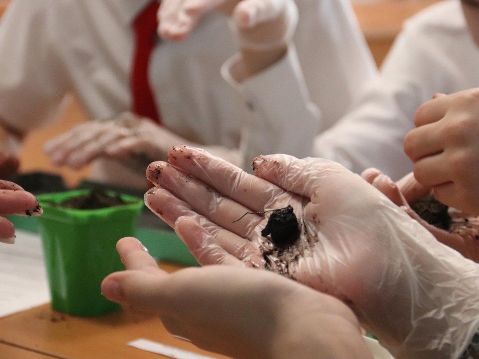 «Огород вместо гаджетов»: как проходят уроки в новых агроклассах Зарайска