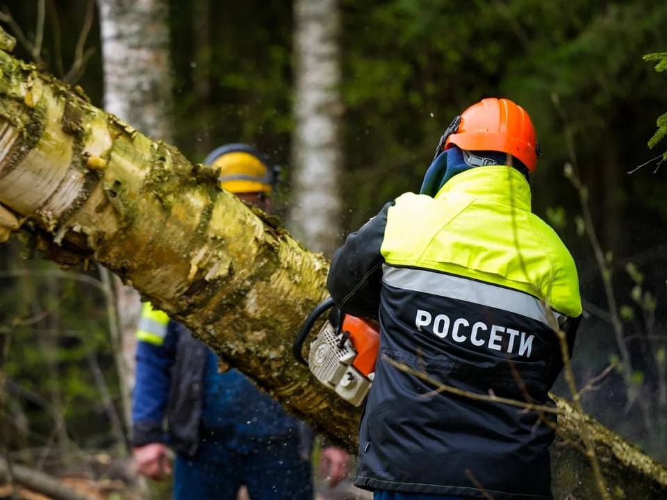 Энергоснабжение в лобненском микрорайоне Луговая приостановлено для ремонтных работ