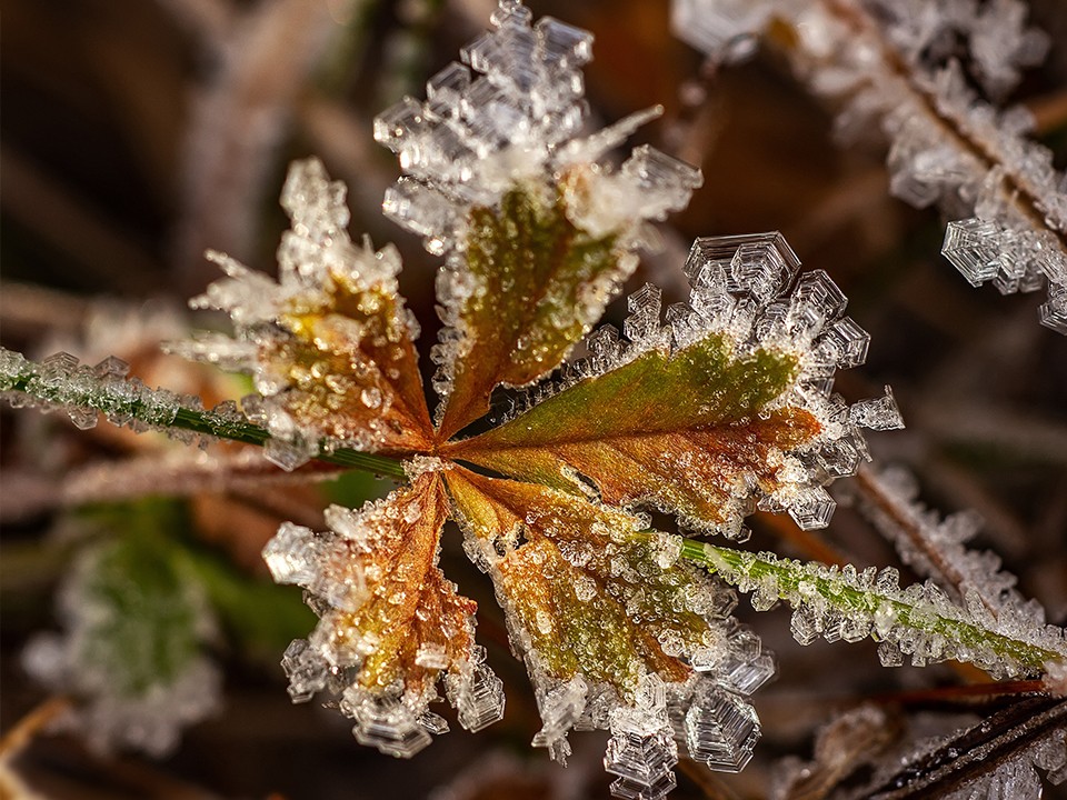 Какой народный праздник отмечают 16 ноября 2025: что можно и нельзя делать на Анну Холодную