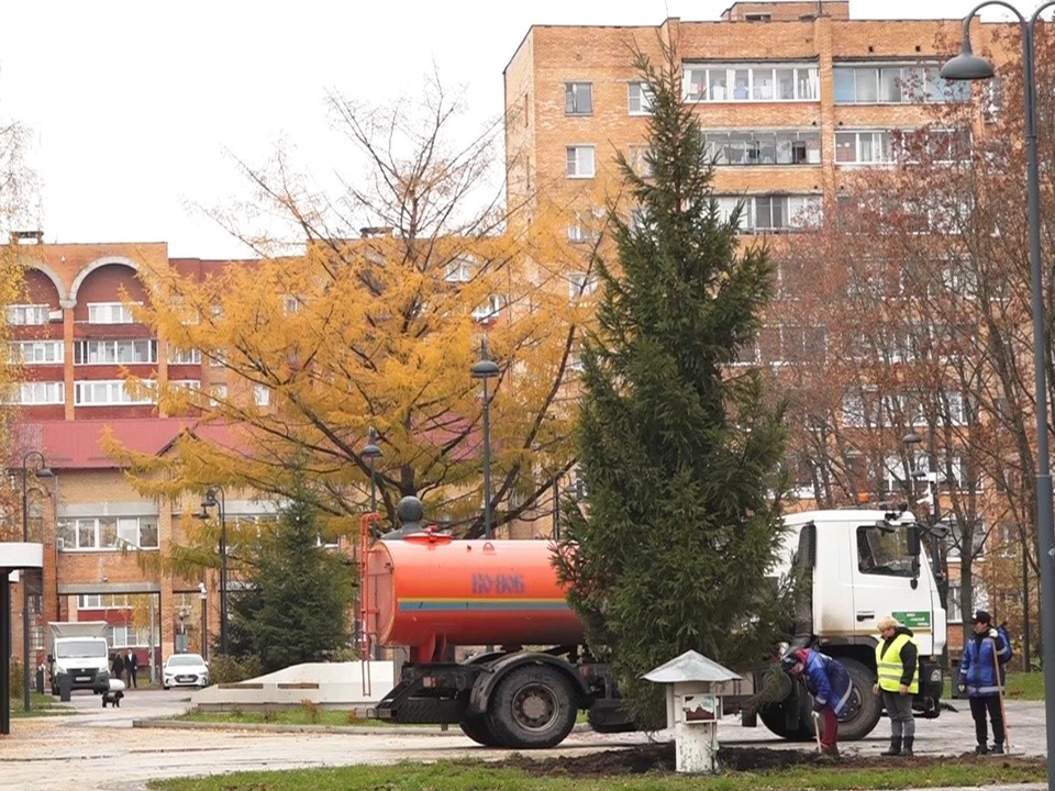 Вместо засохшего дерева: новую главную ель Дубны высадили в сквере имени Журавлева к Новому году