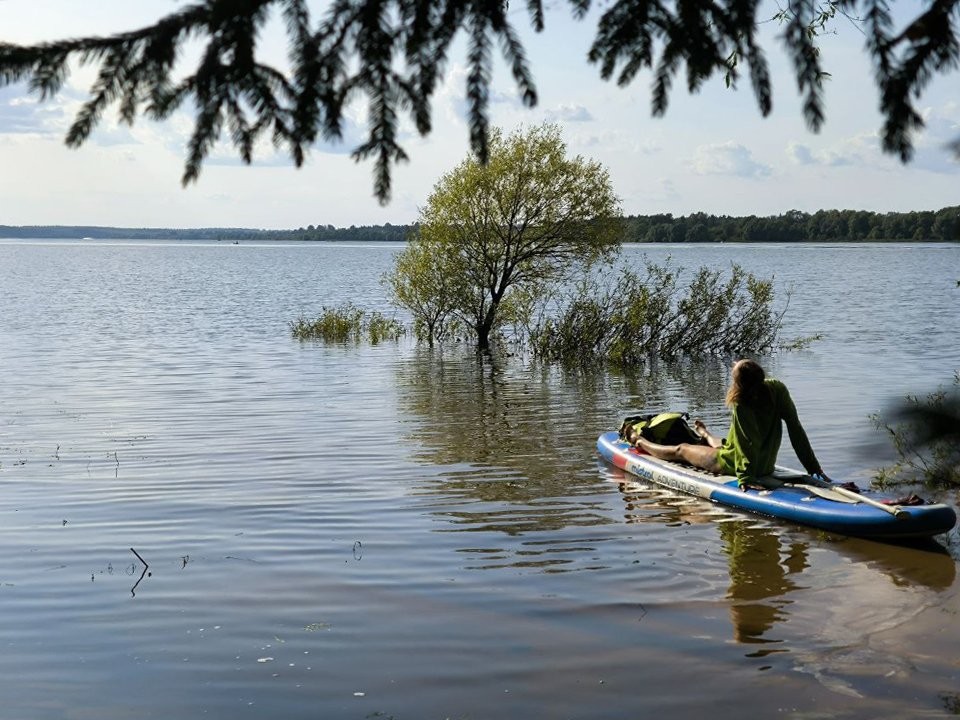 Аномальная жара в Подмосковье выйдет на пик в этот день, объявили синоптики