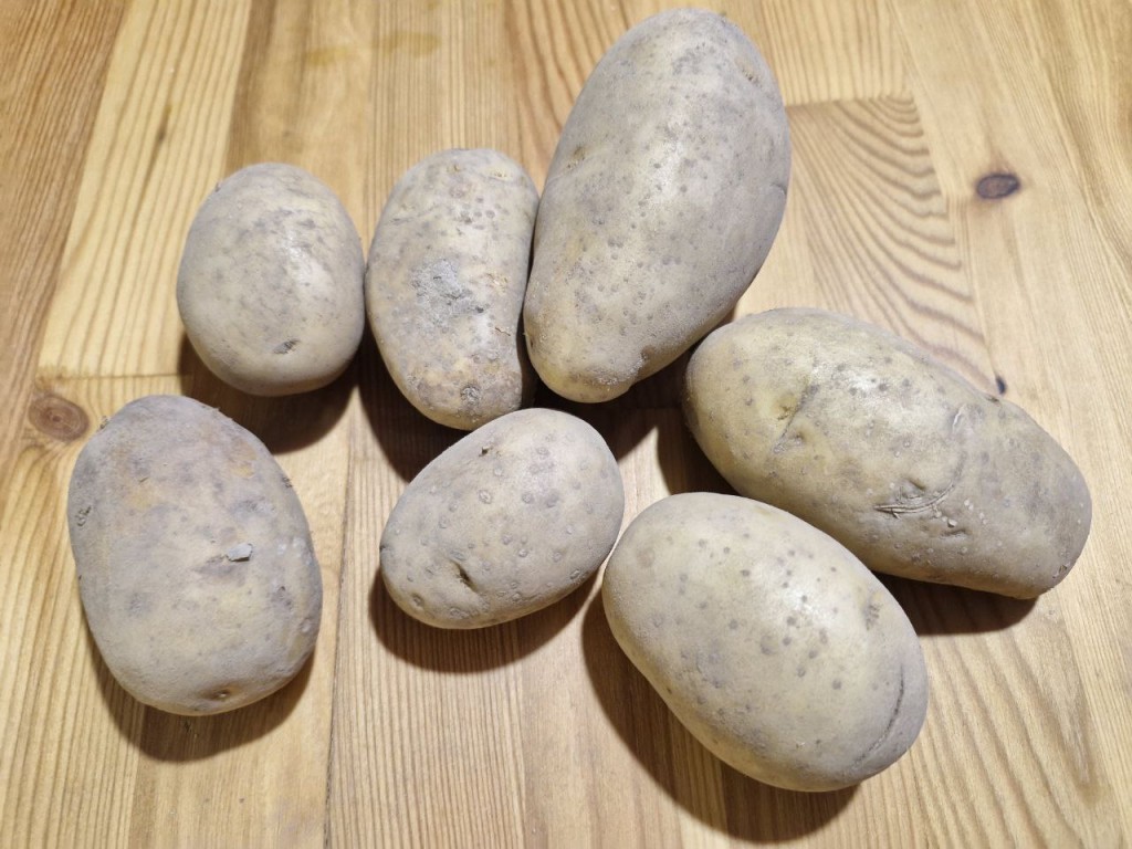 Картофельный яд, который не боится тепловой обработки: раскрыта правда о соланине