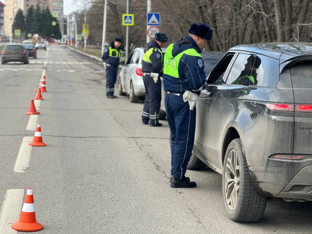 Госавтоинспекция объявила график ноябрьских проверок в Долгопрудном